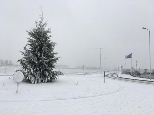 bedrijfskerstboom in sneeuw