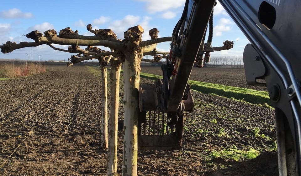 Le Gardinier bomen uit eigen kwekerij