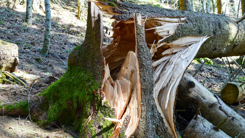 waterschade herstellen in tuin