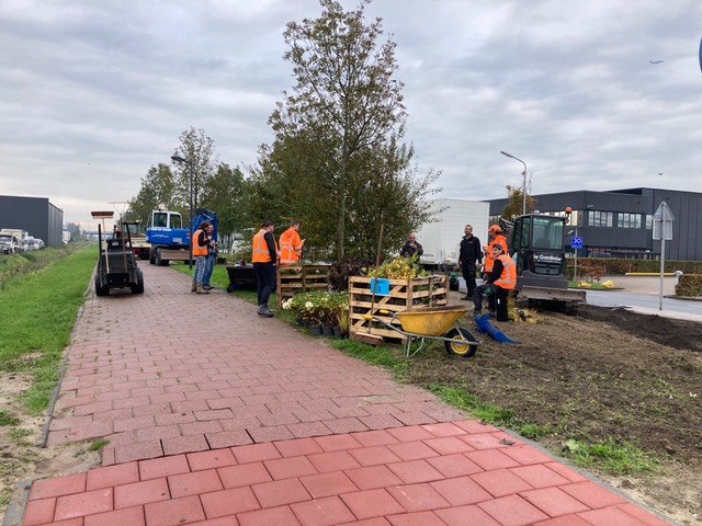 Parkrenovatie De Hoek