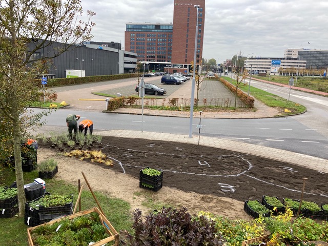 Parkrenovatie Schiphol