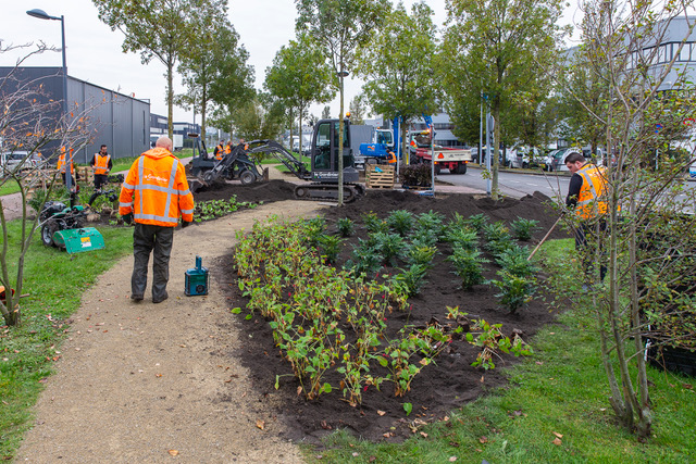 Parkrenovatie De Hoek