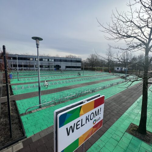 Herinrichting schoolplein