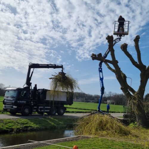 Bomen snoeien