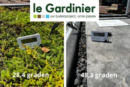 tegentuin vs groene tuin